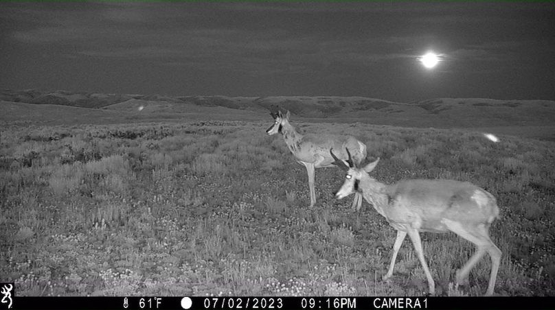 IMG_0020 (2) - frame at 0m10s