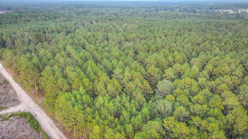 DJI_20250918185546_0294_D