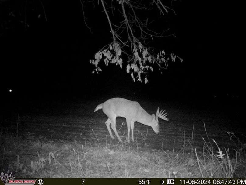 thumb-cb388c7841adb66332e3d6cb5a716b5c2360d7cd (1)