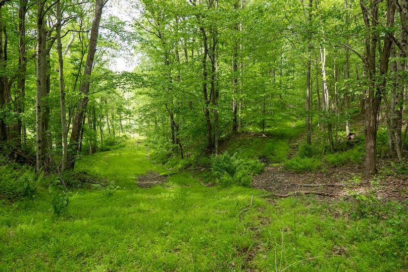 38