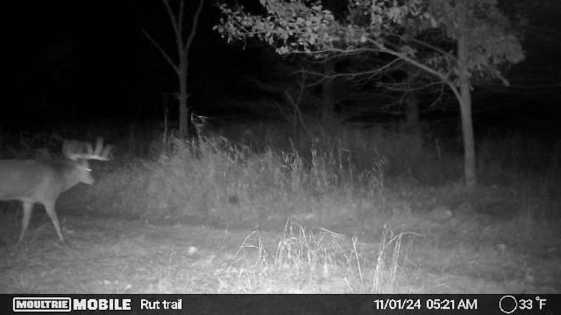 Temp_731870-20241101103033-20241101052121_005010