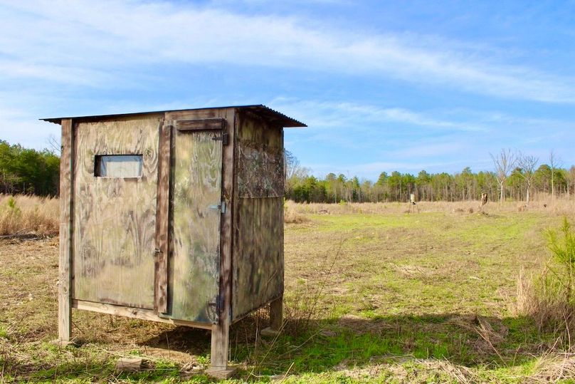 450CB98F-7B82-492B-8A0F-87A411564E8C_1_201_a