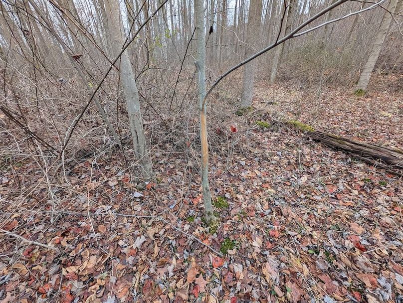 PXL_20251120_191157881