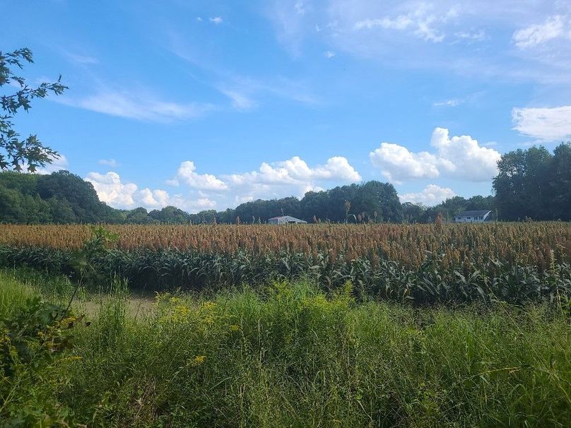 31.40ac_QAnnes_PIC_015