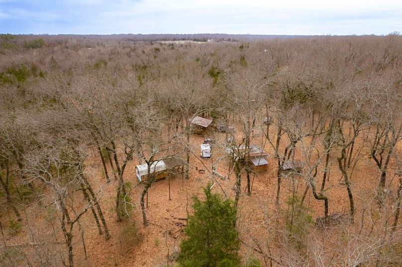 Lamar County- 15 acres (7 of 41)