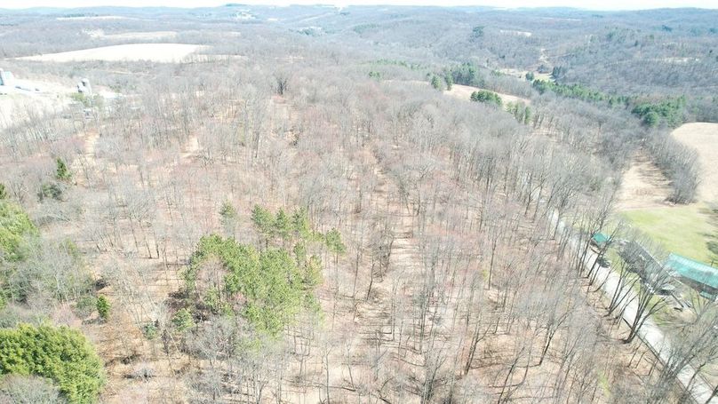 dji_fly_20250327_140142_104_1743098750437_photo