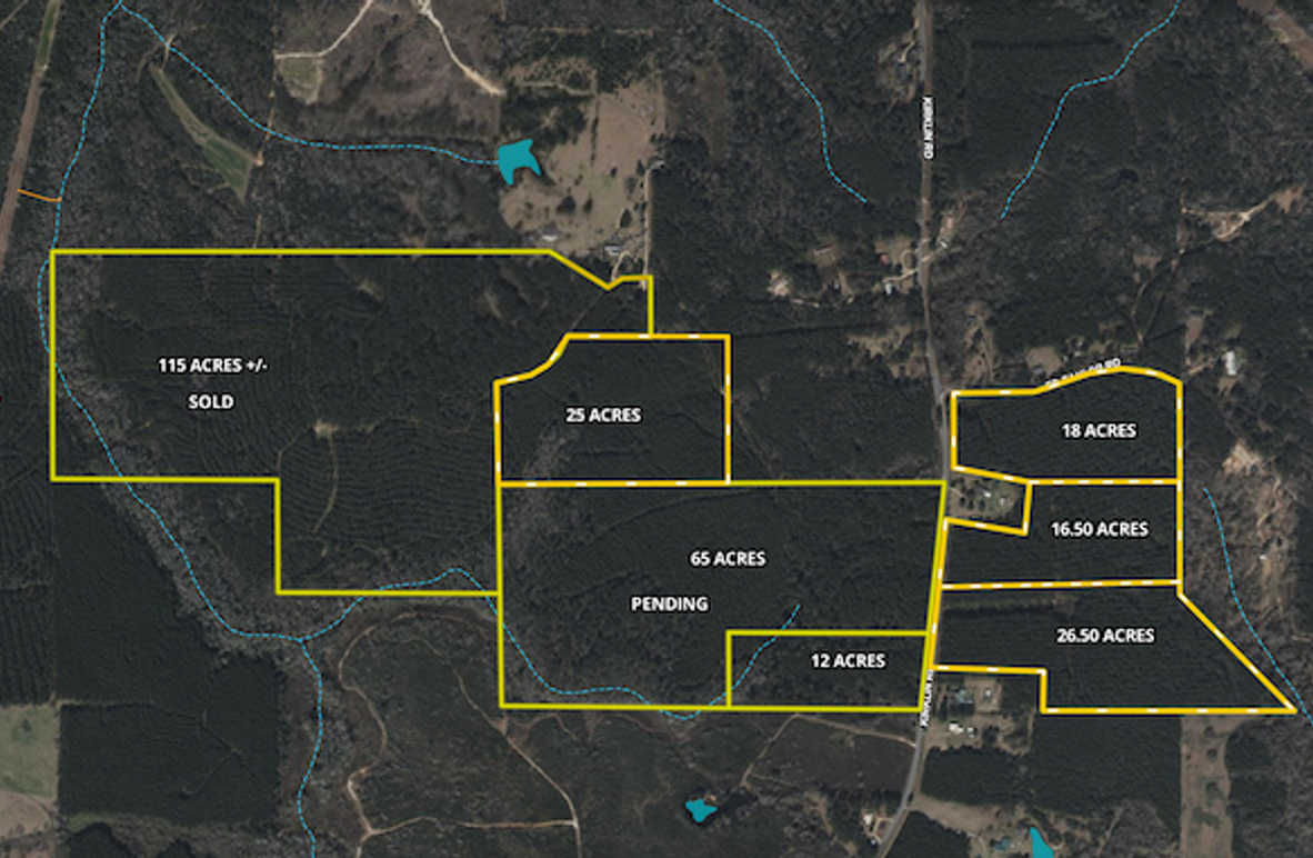 Screenshot 2025-05-29 at 10.31.02 PM