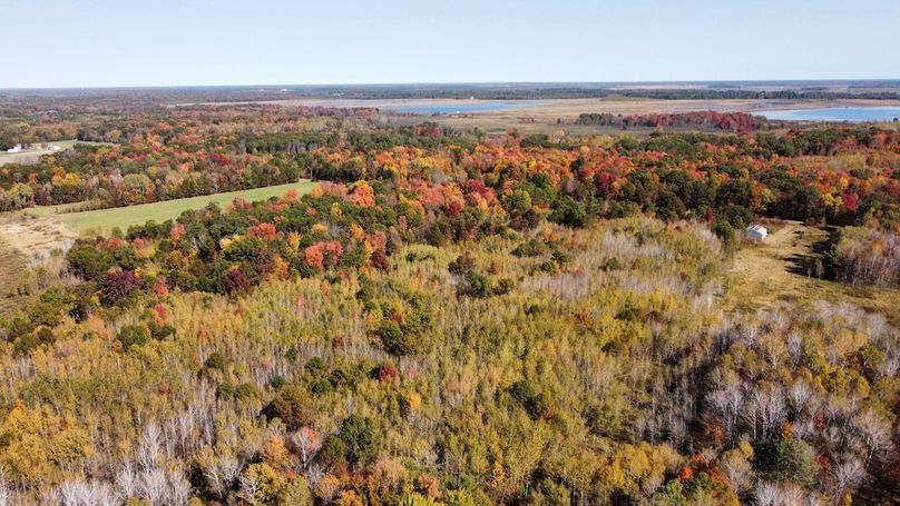 dji_fly_20241010_133328_423_1728585651649_photo_optimized