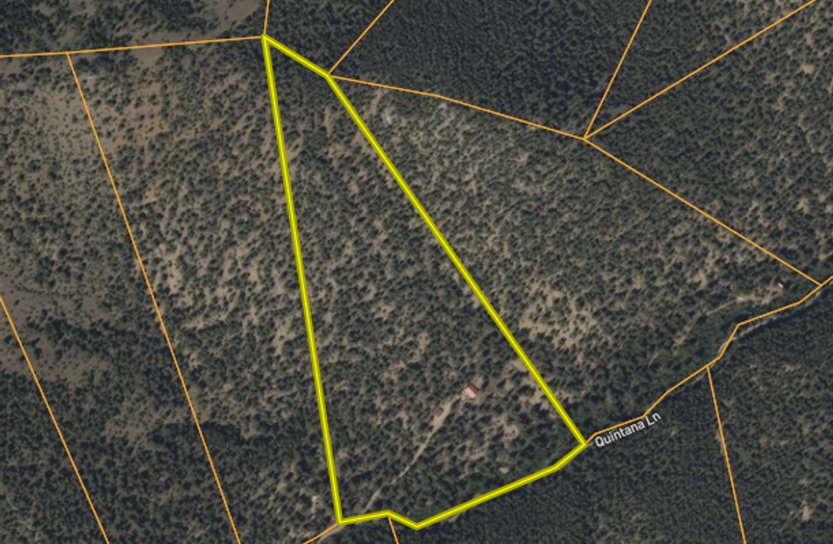 Screenshot 2025-08-01 at 10.29.44 AM