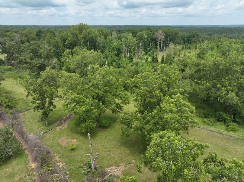 dji_fly_20230803_122906_493_1691080303131_photo