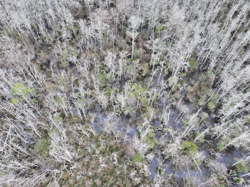 dji_fly_20260123_132432_0946_1769444771416_photo