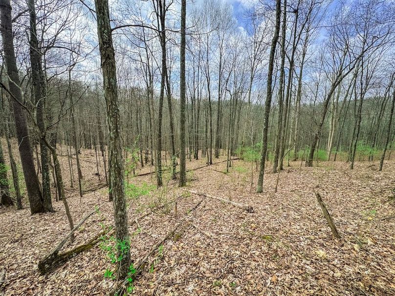 Ritchie, WV 206.08 AC Curriden-63