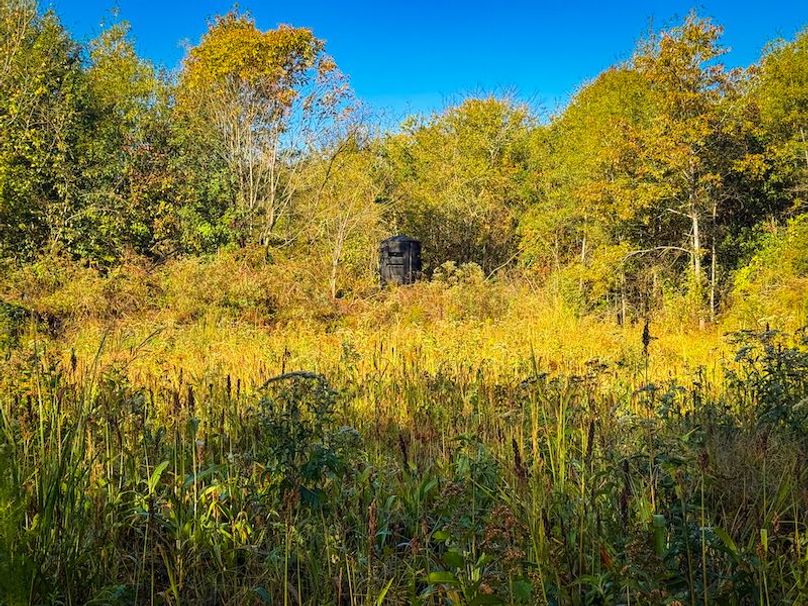 Clay 302.7 Henderson-06