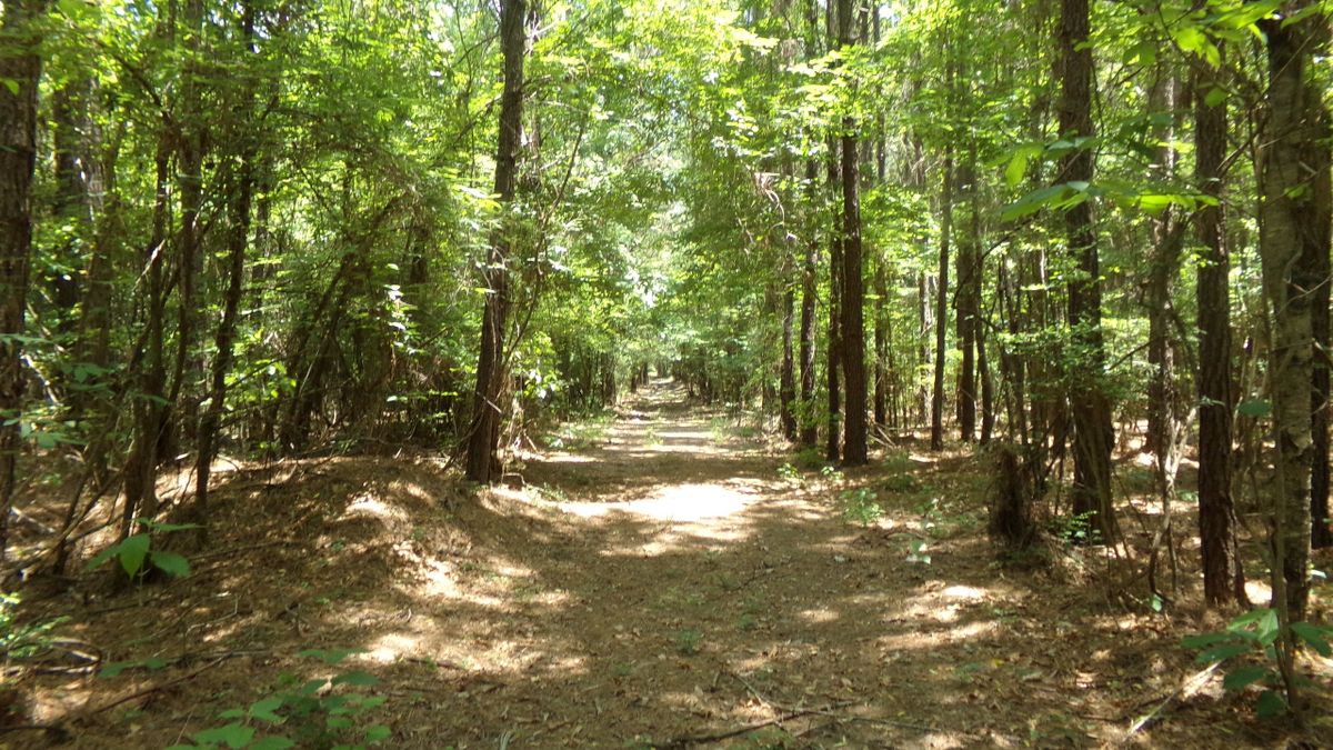 Recreation Tract with access to Dugdemona River | Whitetail Properties