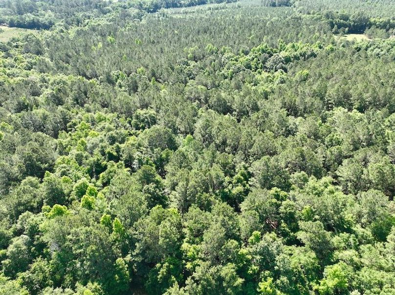 dji_fly_20260514_103048_697_1778769334653_photo