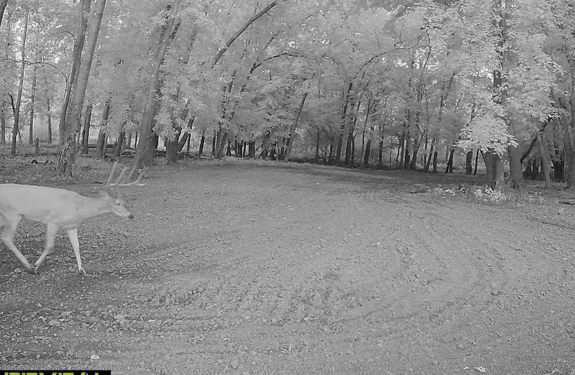 1 - 2026-01-02T122613.959