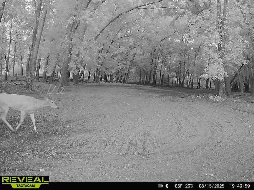 1 - 2026-01-02T122613.959