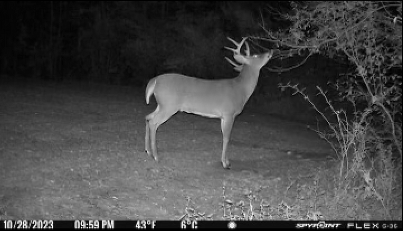 Tioga_28.87_Shangraw Photo 43