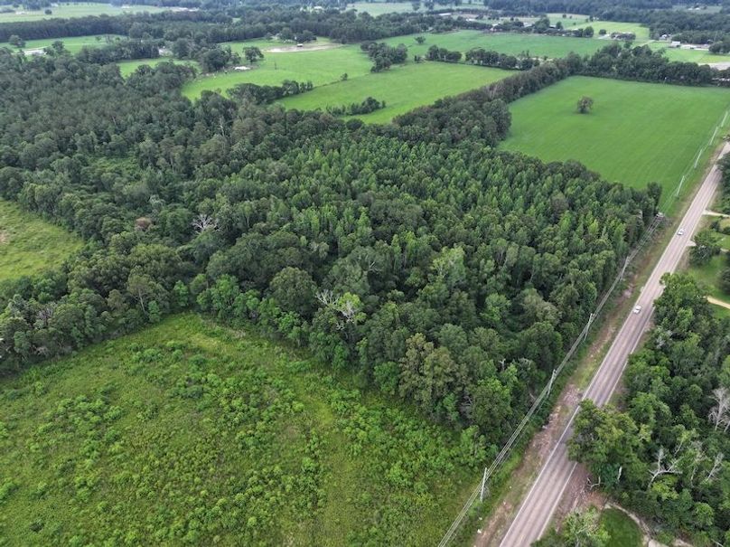 dji_fly_20250624_092836_0118_1750950822671_photo