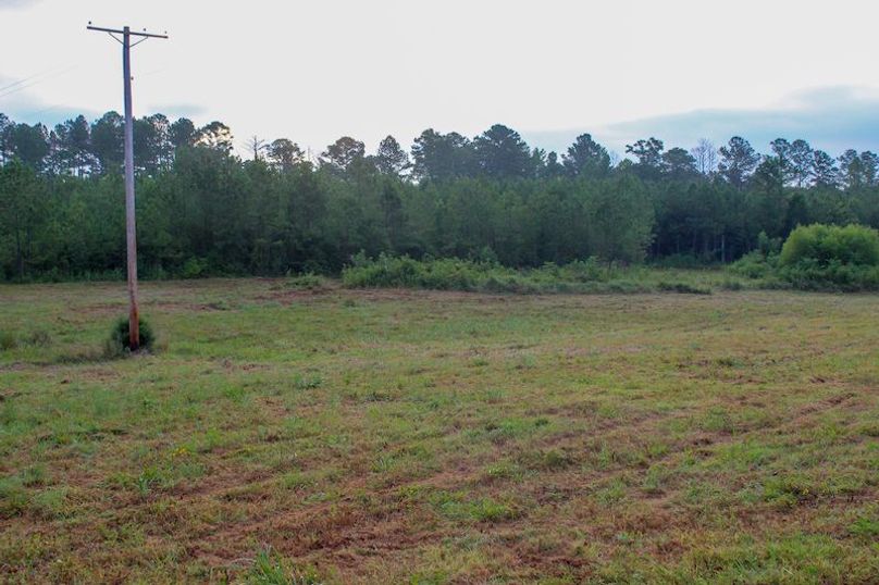 Madison Co - 20.25 - Camden Glenn-16