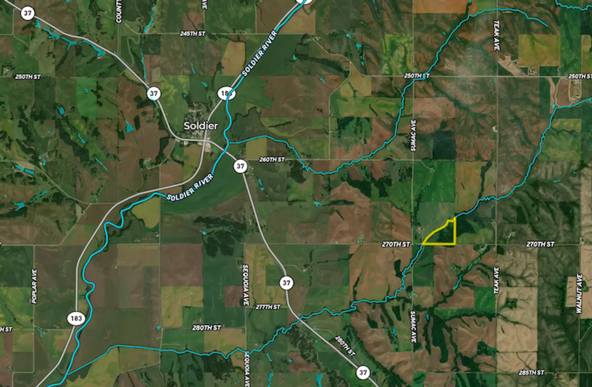 Screenshot 2025-03-17 at 4.44.18 PM