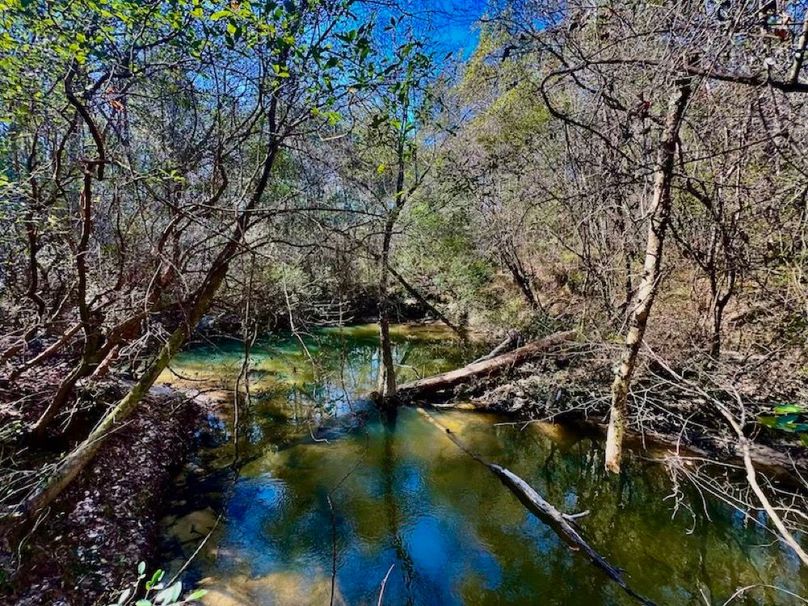 585B48AC-EB23-4B2C-B4BC-CB843F577184_1_201_a