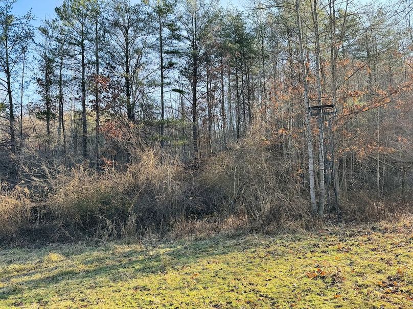 032 ladder stands throughout the property