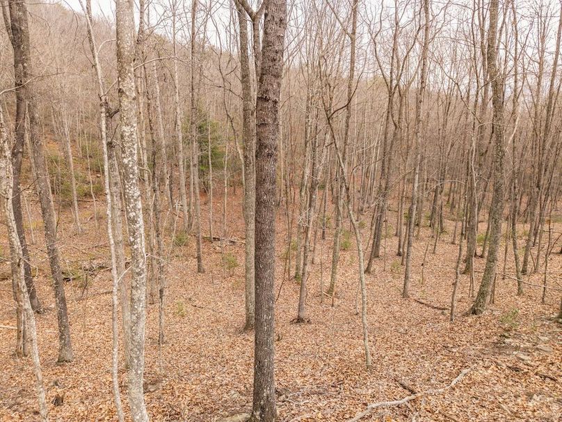 DJI_20260304160316_0029_D