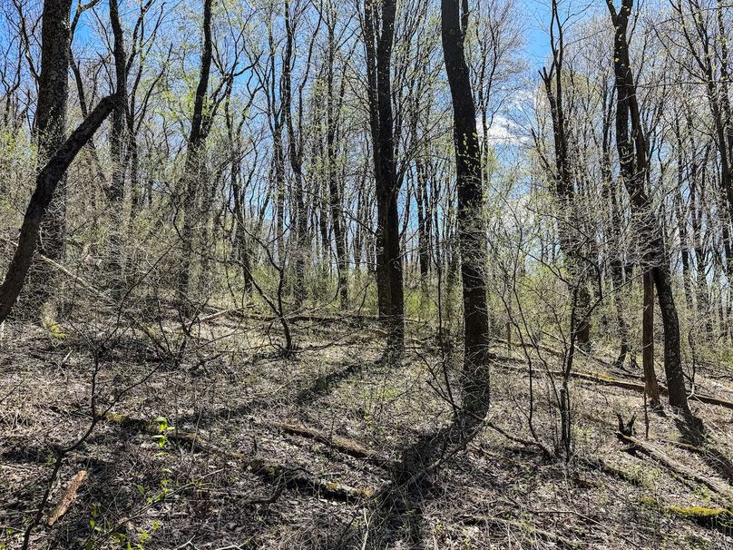 IMG_7299