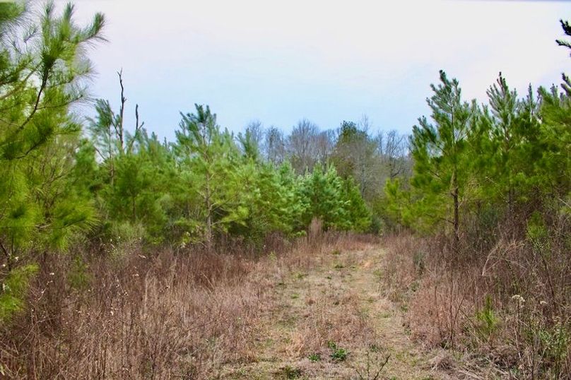 9EAA7157-984A-47FD-98C5-ABEC39306A4C_1_105_c