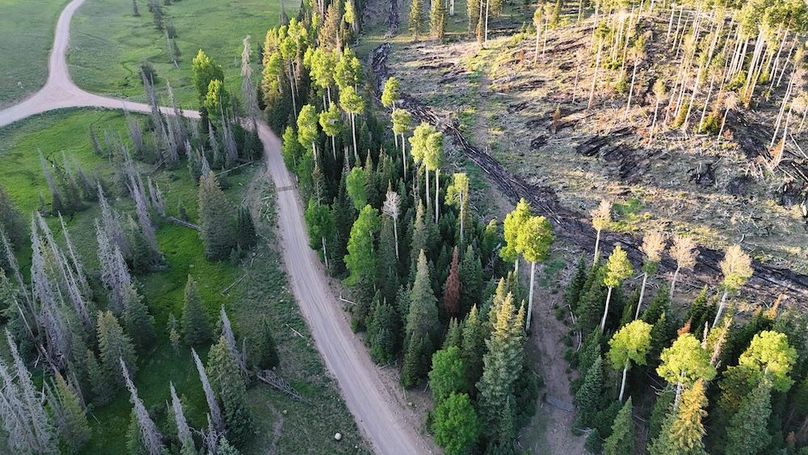 DJI_20250627201432_0071_D