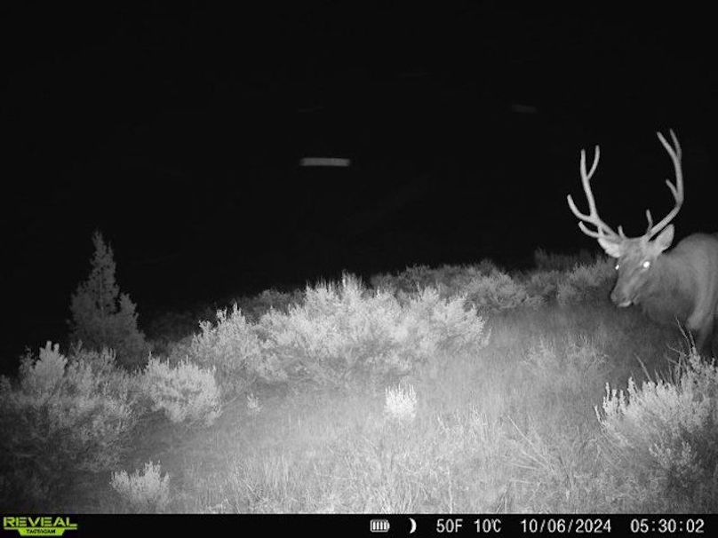 860516060244377-100-2-10062024053002-V-W1001201