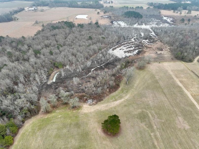 dji_fly_20260210_103756_235_1770738311751_photo