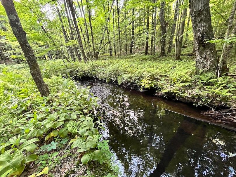 Jefferson_260.3_ Lobach_Photos_23