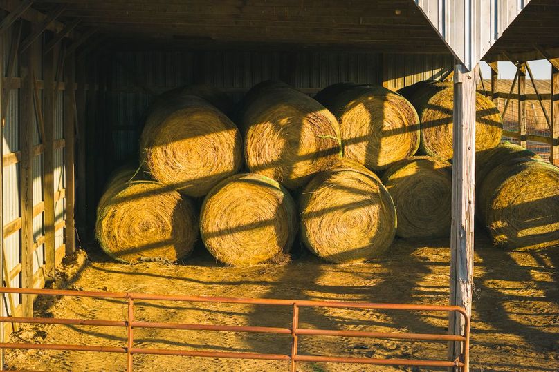 DJI_20260227073930_0096_D