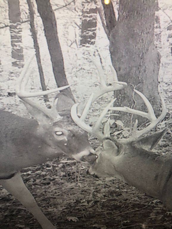 59383503454__B2C3E2C5-458F-4488-83DD-2769BD9D2D16