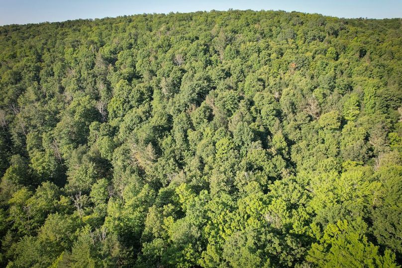 Tioga_82.5_Williams_Photos_31