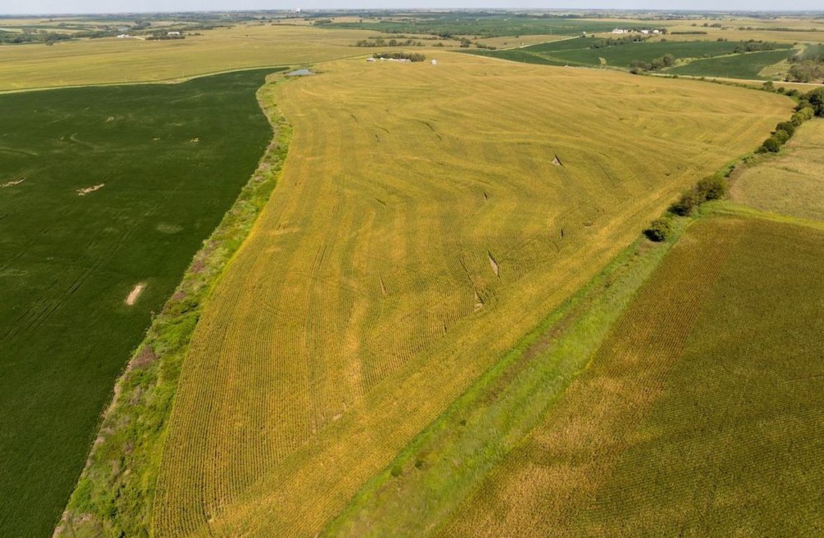 DJI_20250822114412_0079_D