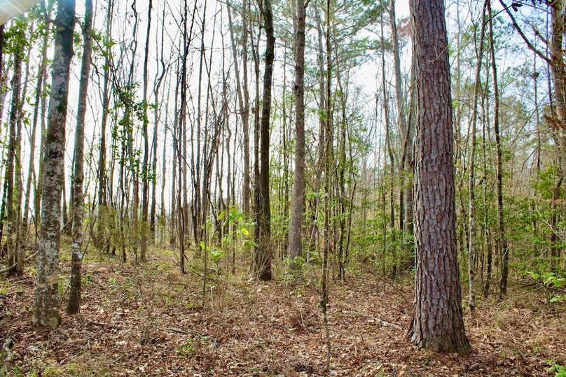 CCAB5B9B-8938-4B3E-B0EF-734762327638_1_201_a