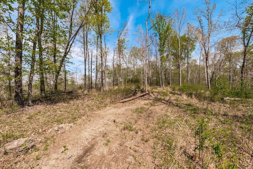 53-web-or-mls-0 Mound Creek Rd-23