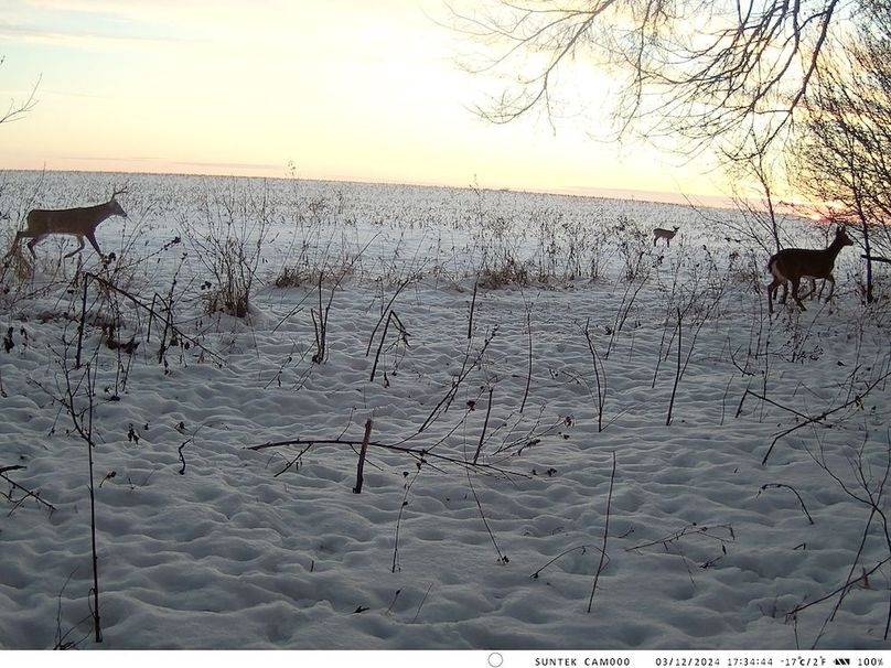 2024-1203-173445_000503