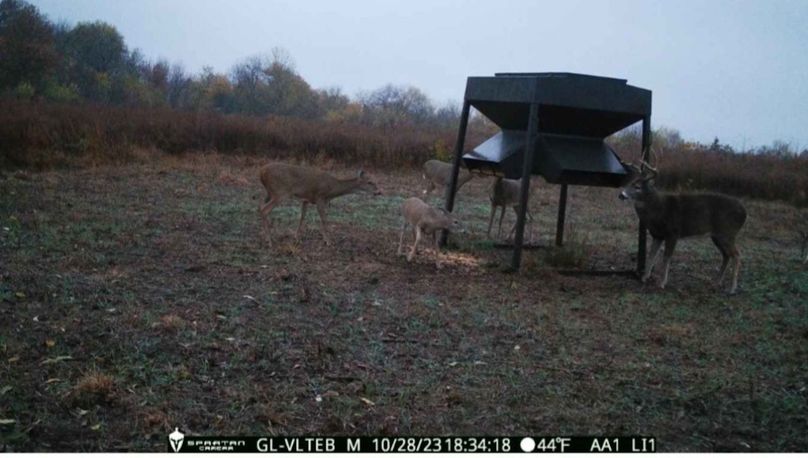 Screenshot_20231110_101913_Gallery