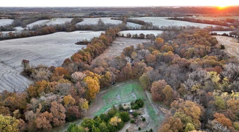 Screenshot 2025-11-20 at 10.04.49 AM