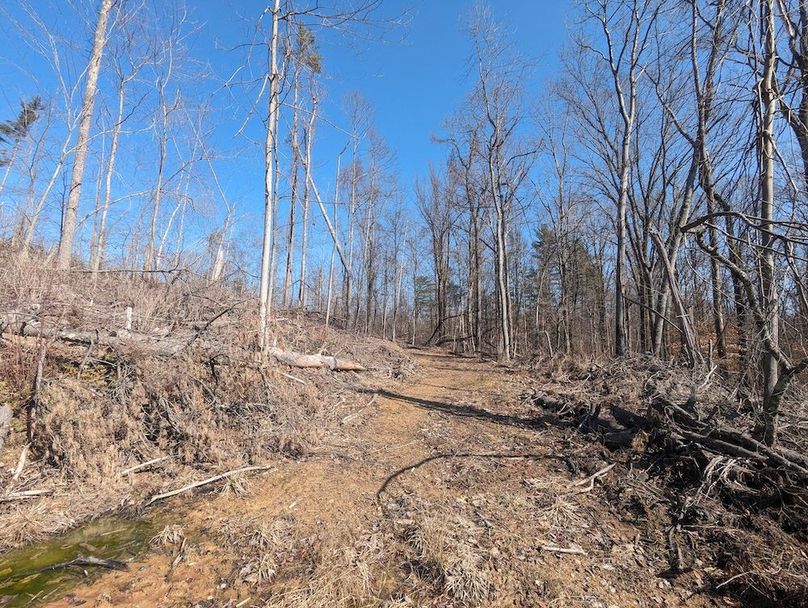 PXL_20240223_171312940