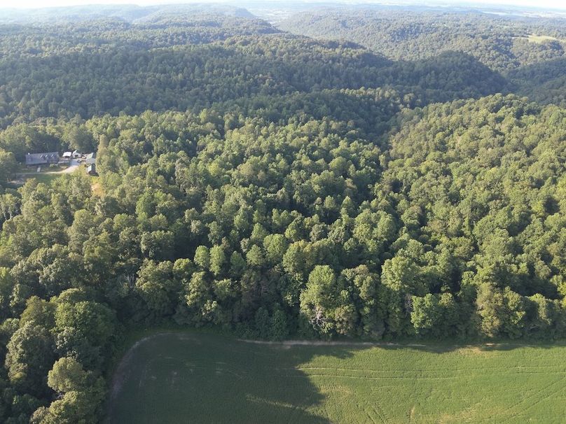 DJI_20250806185044_0008_W