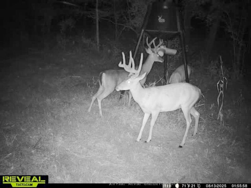 Holmes County - 108 - Rodriguez-82