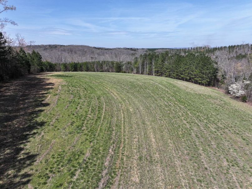 dji_fly_20260325_121008_0673_1774539236630_photo