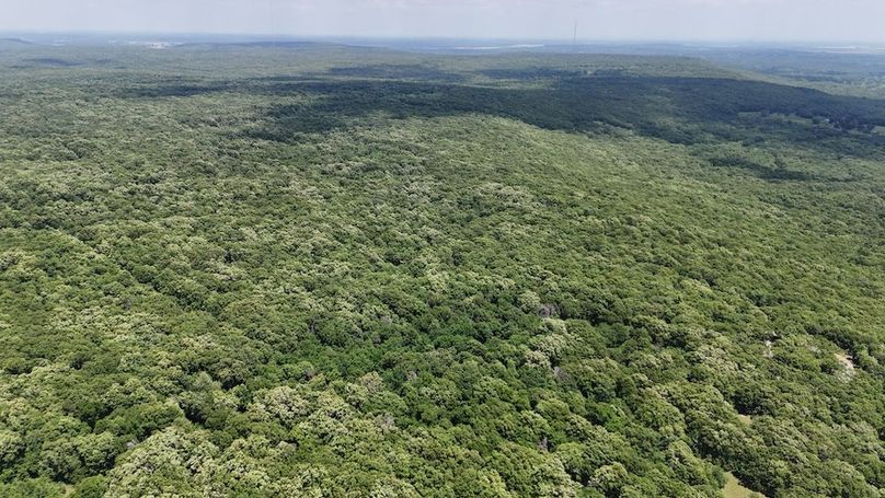 DJI_20240521134614_0006_D