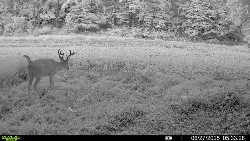 016578002627054-100-4-06272025053328-V-SYFW02756