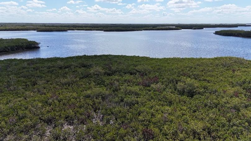 17.17ac, Citrus, Josiah Ronco34